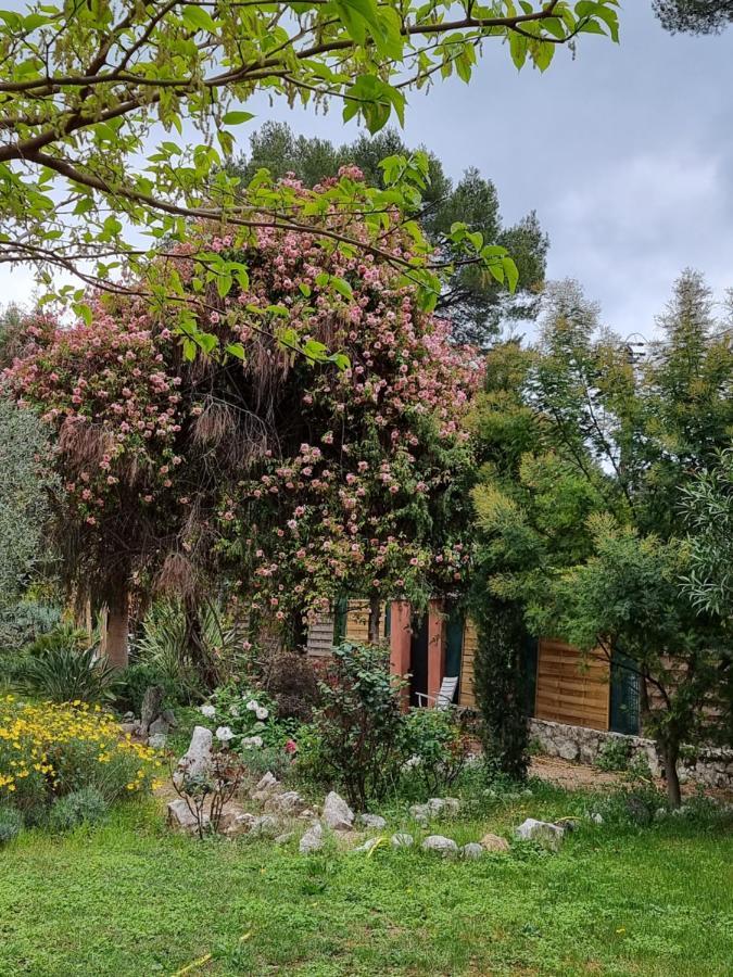 Bed and Breakfast Mas d'Azur Roquefort-les-Pins Exterior foto