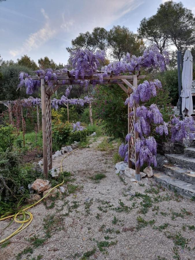 Bed and Breakfast Mas d'Azur Roquefort-les-Pins Exterior foto